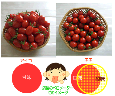 水耕栽培Ｑ＆Ａブログ180