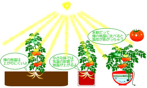 水耕栽培Ｑ＆Ａブログ254