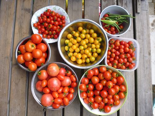 水耕栽培Ｑ＆Ａブログ301