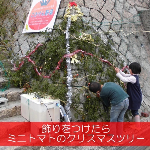 水耕栽培Ｑ＆Ａブログ327