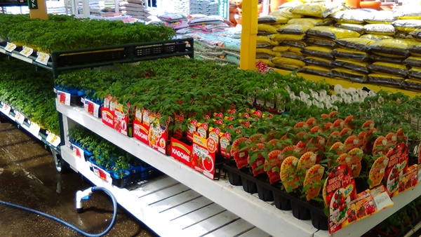 水耕栽培Ｑ＆Ａブログ343