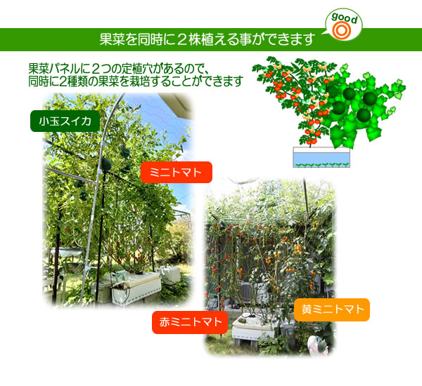 ホームハイポニカ303