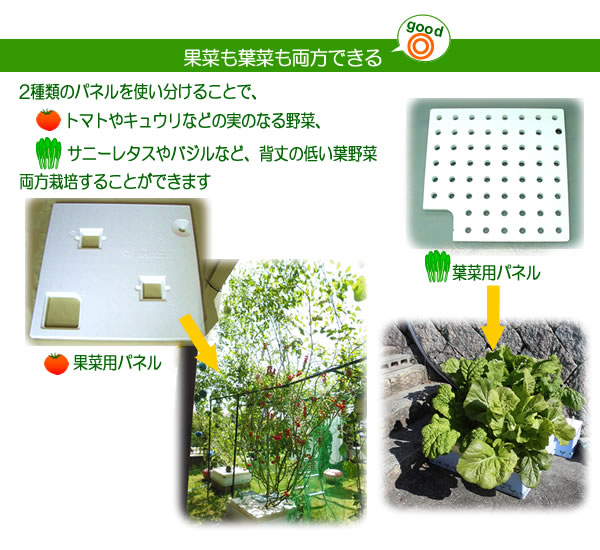 ホームハイポニカ303