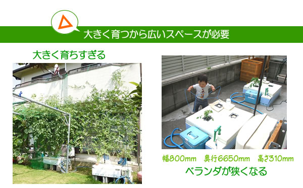 ホームハイポニカ303