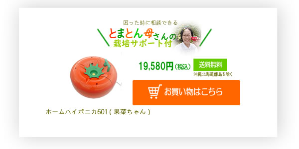 ホームハイポニカ601型お買い物はこちら