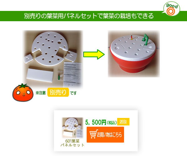 ホームハイポニカ601