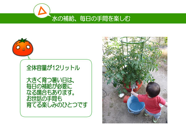 ホームハイポニカ601