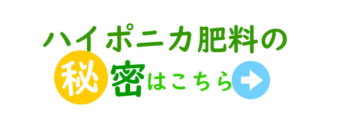 ハイポニカの秘密