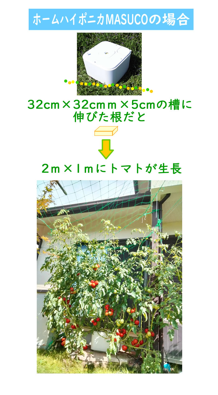 ホームハイポニカMASUCOの場合