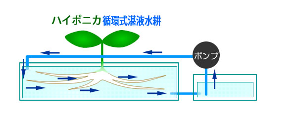 ハイポニカ循環型DFT水耕栽培模式図