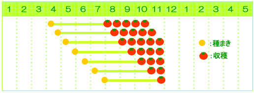 トマトの栽培暦