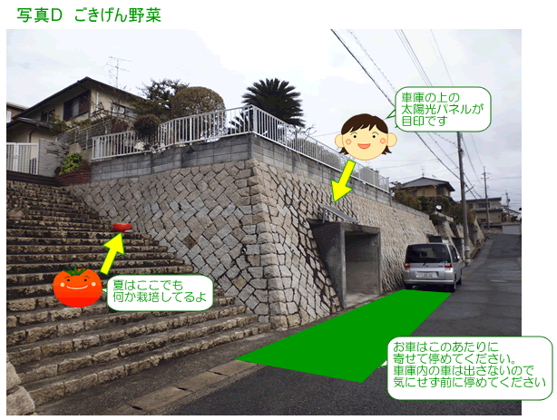 ���������؂ւ̃A�N�Z�X�ʐ^�c